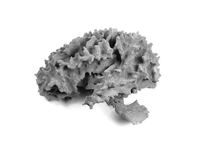 Flexa Soft 彈性粉末(2kg)