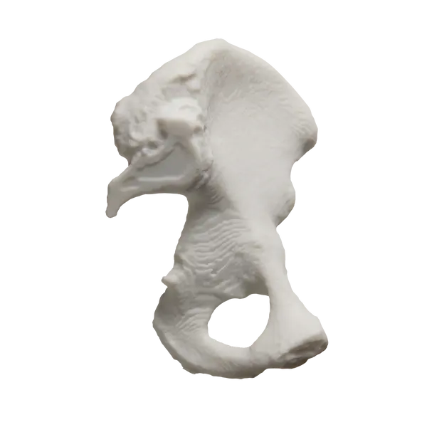 Formlabs 汎用レジン V5 シリーズ