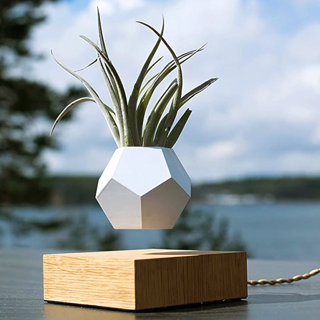 會飛的藝術品你看過嗎？透過磁浮原理搭配3D列印技術，設計品能像施魔法一樣漂浮在空中，在家也有超能力，完整秘笈立刻看！