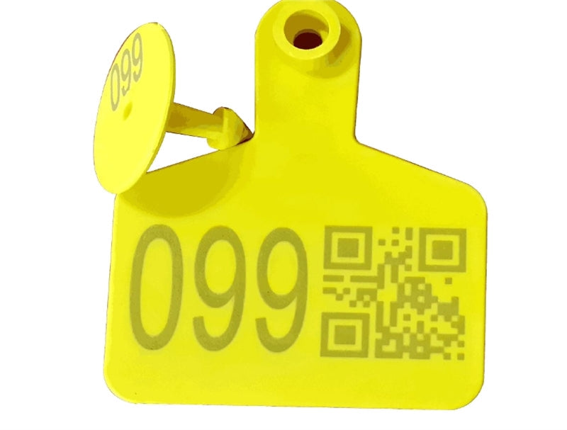 Wisely LP Fiber Laser - 30W/MY-M20F-III/Fixed Pulse Width Sample